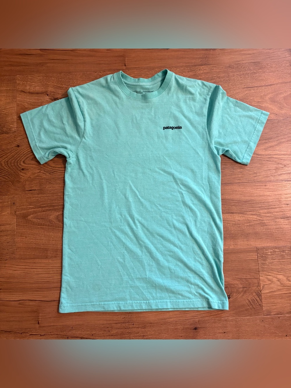 Patagonia Short-Sleeve Logo Tee